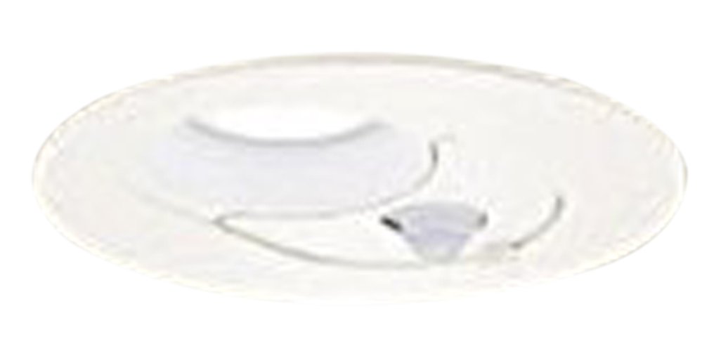 Amazon.co.jp: パナソニック(Panasonic) LEDダウンライト100形拡散昼
